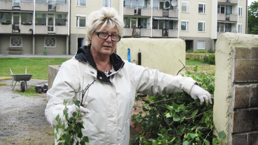 Anita H. klipper till kvistarna