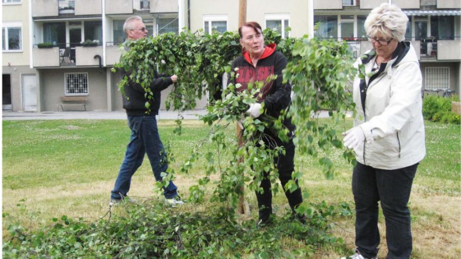 Lövningen har börjat, Peo Ulla och Anita kvistar på.