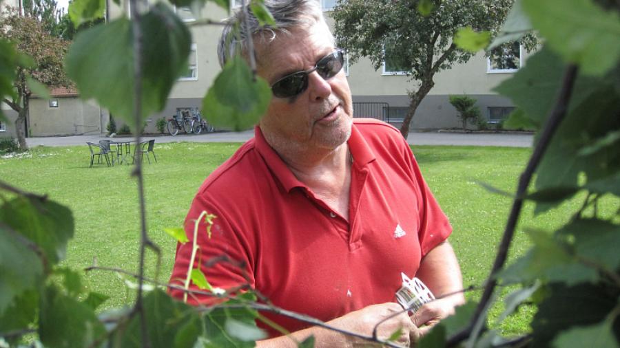 Calle ler saligt genom kransen